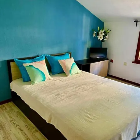 николета Πανσιόν